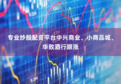 专业炒股配资平台中兴商业、小商品城、华致酒行跟涨