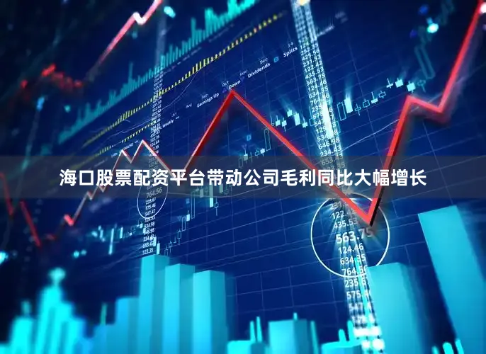海口股票配资平台带动公司毛利同比大幅增长