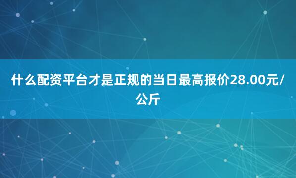 什么配资平台才是正规的当日最高报价28.00元/公斤