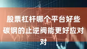 股票杠杆哪个平台好些碳钢的止逆阀能更好应对