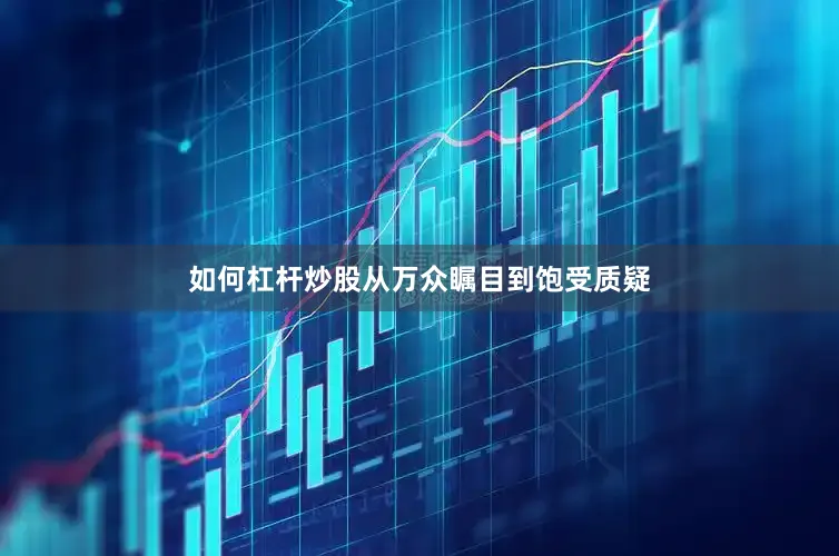 如何杠杆炒股从万众瞩目到饱受质疑